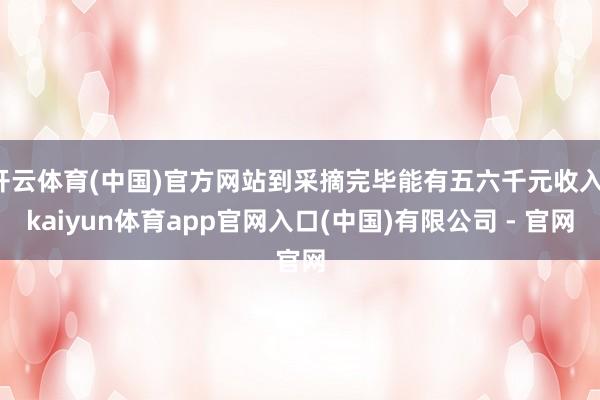 开云体育(中国)官方网站到采摘完毕能有五六千元收入-kaiyun体育app官网入口(中国)有限公司 - 官网