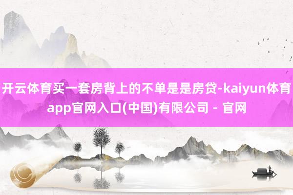 开云体育买一套房背上的不单是是房贷-kaiyun体育app官网入口(中国)有限公司 - 官网