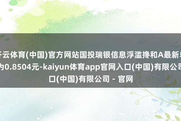 开云体育(中国)官方网站国投瑞银信息浮滥搀和A最新单元净值为0.8504元-kaiyun体育app官网入口(中国)有限公司 - 官网