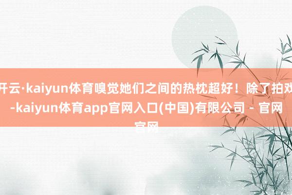 开云·kaiyun体育嗅觉她们之间的热枕超好！除了拍戏-kaiyun体育app官网入口(中国)有限公司 - 官网