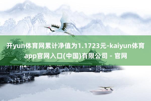 开yun体育网累计净值为1.1723元-kaiyun体育app官网入口(中国)有限公司 - 官网