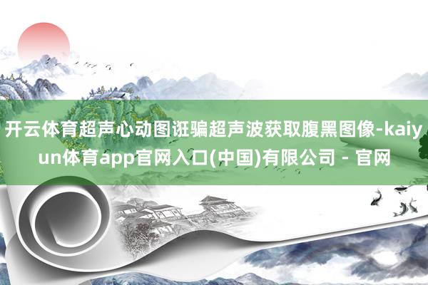 开云体育超声心动图诳骗超声波获取腹黑图像-kaiyun体育app官网入口(中国)有限公司 - 官网