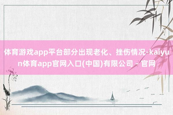 体育游戏app平台部分出现老化、挫伤情况-kaiyun体育app官网入口(中国)有限公司 - 官网